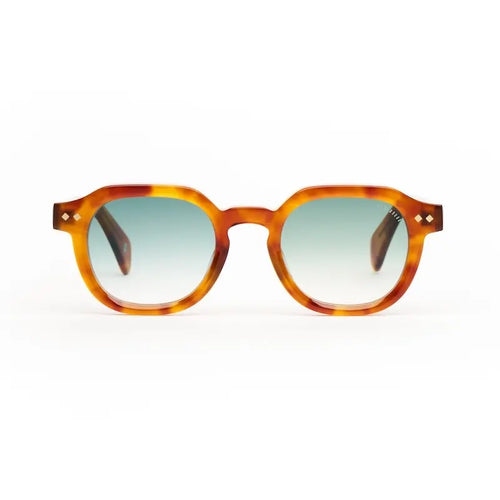 Lunettes de soleil ANDYBROOK | NEMRUT C156ZD