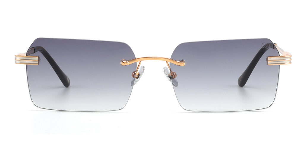 Lunettes de soleil CLARY GRAY | BOSTONIANCNG13S16
