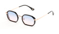 Lunettes de soleil ANDYBROOK | BRADLEY C80N