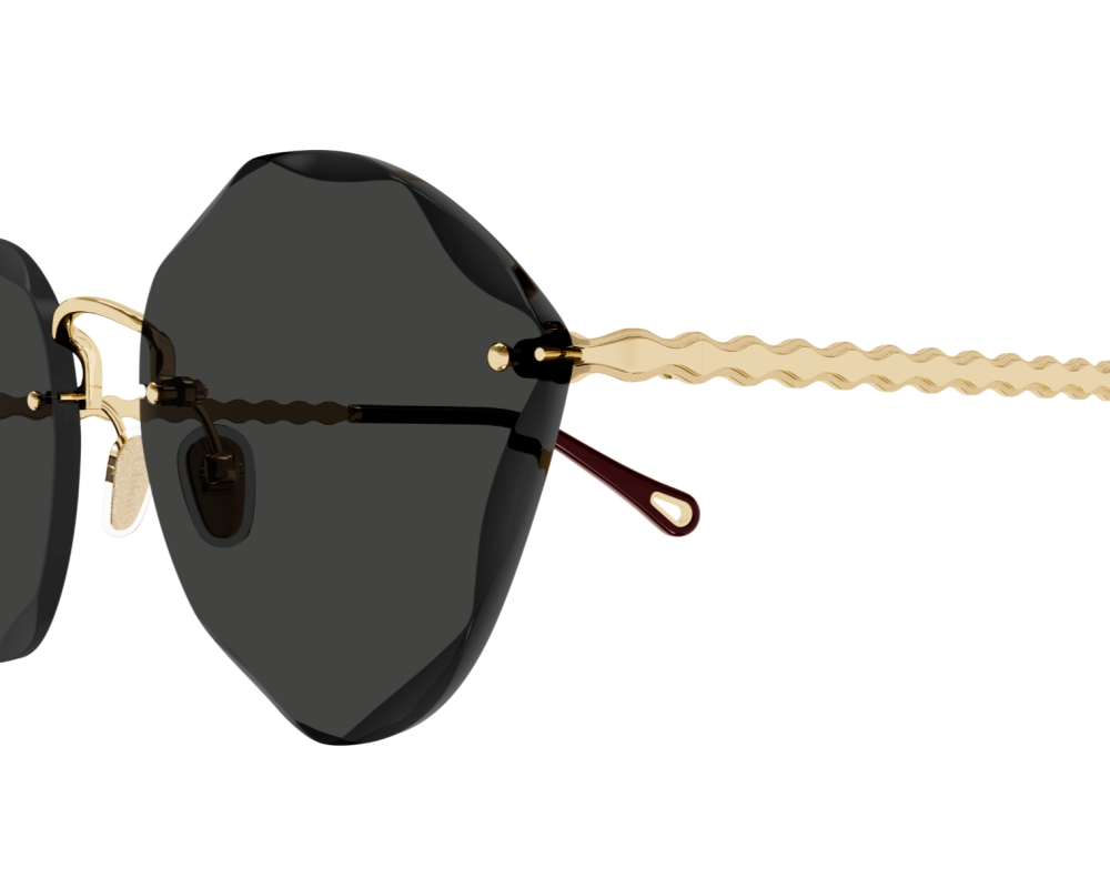 Lunettes de soleil CHLOÉ | CH0253S 001