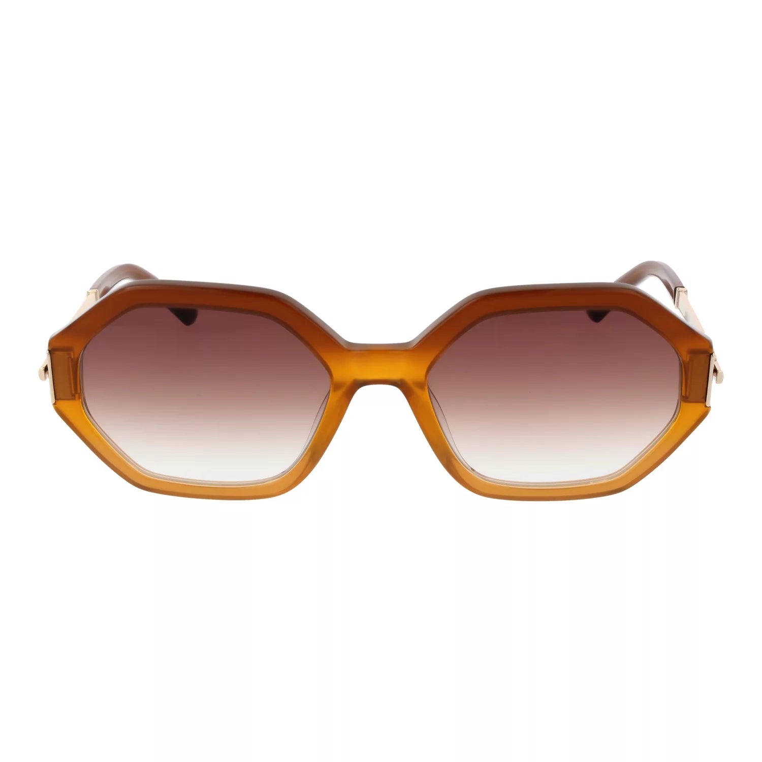 Lunettes de soleil SANDRO | SD6046 104
