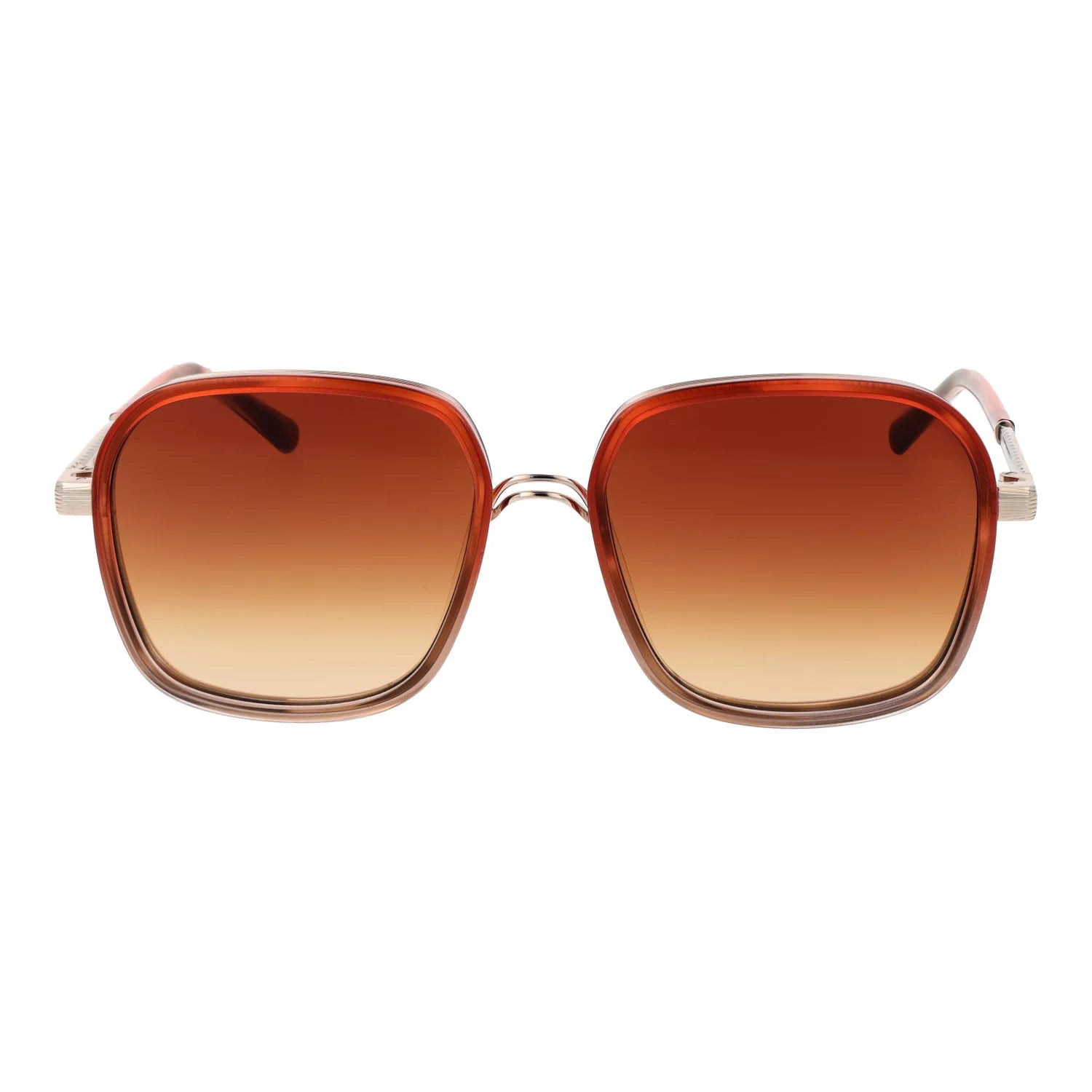 Lunettes de soleil SANDRO | SD6050 106